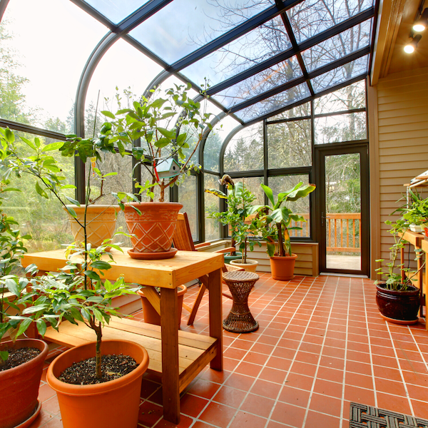 Plants growing in sunroom.